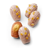 糖漬檸檬瑪德蓮